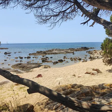 Privee Contemporaine Avec Terrasse Proche Ajaccio Et Plages * Alata